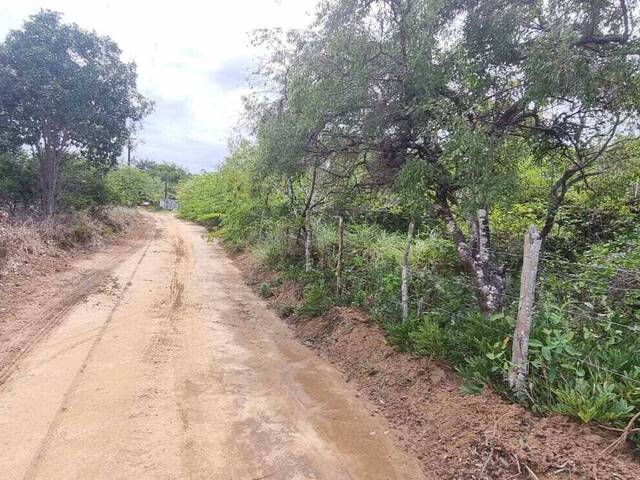 #T-214 - Terreno para Venda em Vila Flor - RN