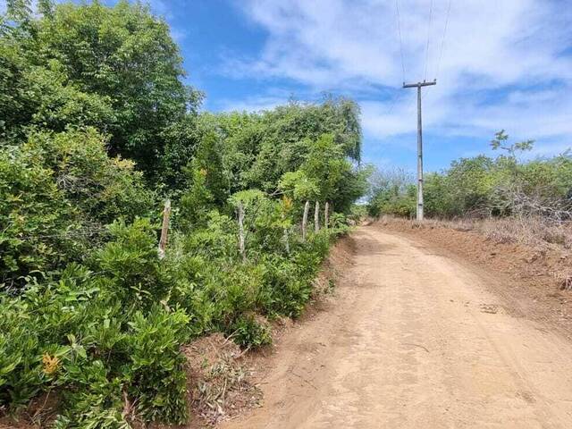#T-214 - Terreno para Venda em Vila Flor - RN