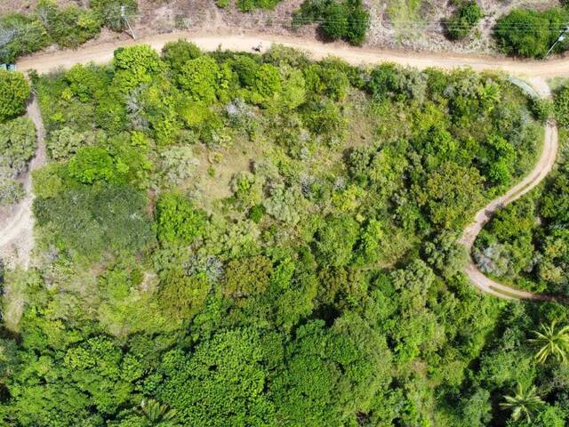 Terreno para Venda em Vila Flor - 5