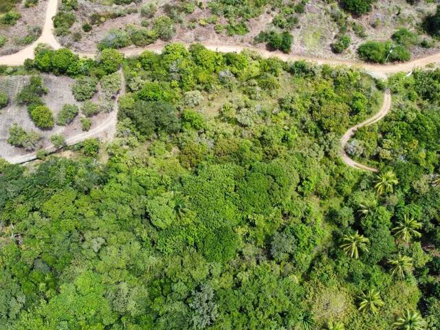 Terreno para Venda em Vila Flor - 4