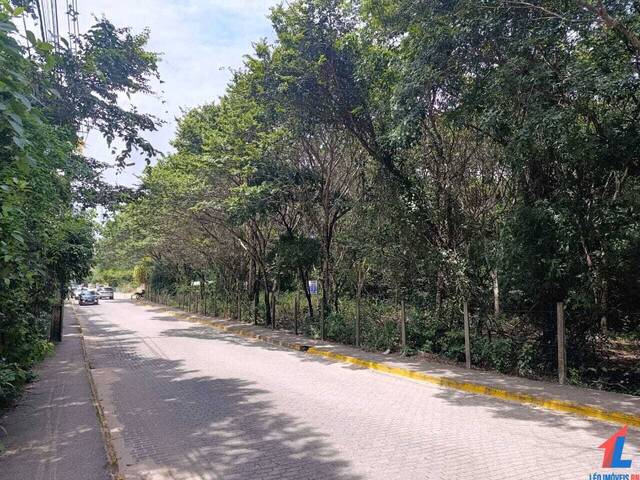 Terreno para Venda em Tibau do Sul - 5
