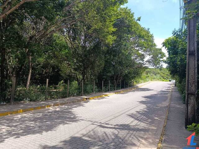 Terreno para Venda em Tibau do Sul - 4