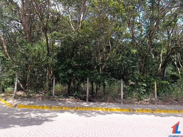 Venda em Praia da Pipa - Tibau do Sul