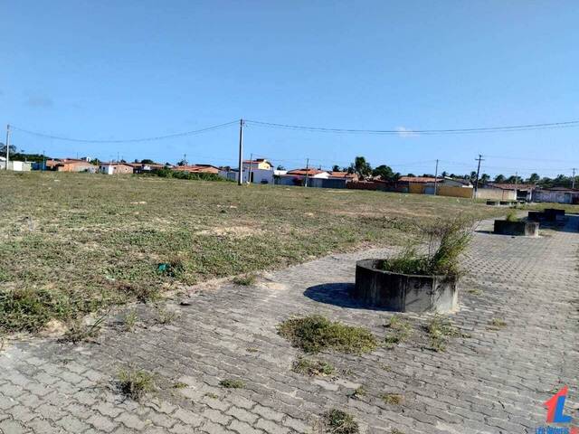 #T-514 - Terreno para Venda em Tibau do Sul - RN