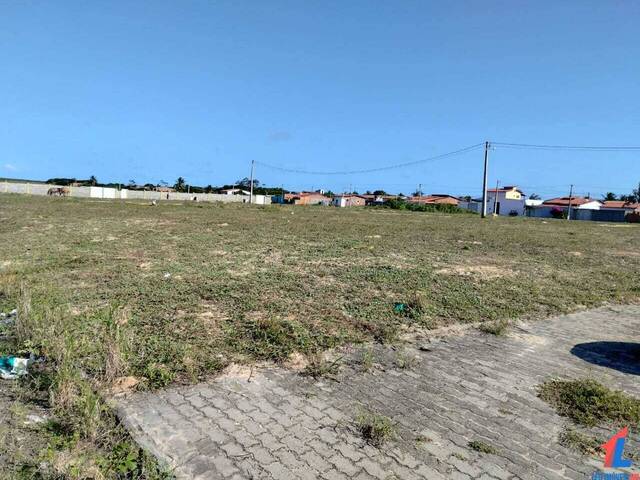 Venda em Tibau do Sul - Tibau do Sul