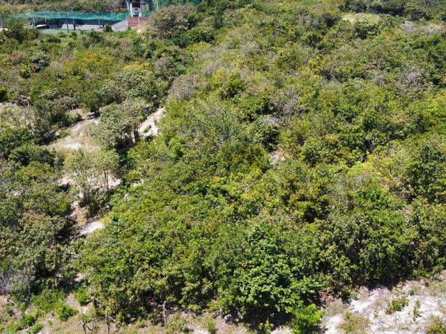Terreno para Venda em Tibau do Sul - 5