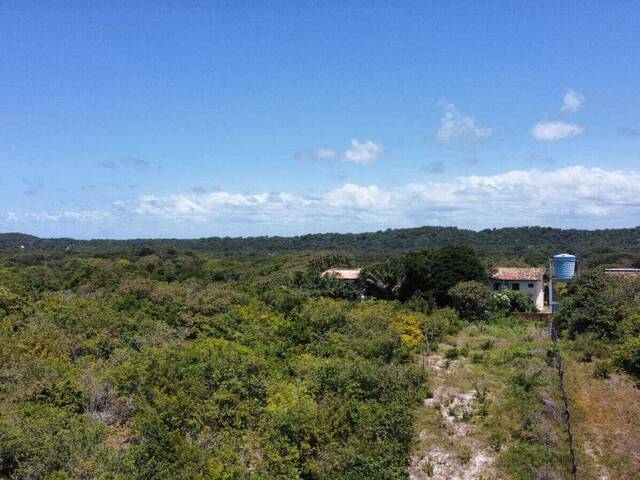 Terreno para Venda em Tibau do Sul - 4