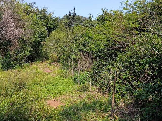 #T-463 - Terreno para Venda em Tibau do Sul - RN