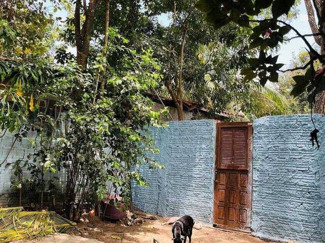 Casa para Venda em Tibau do Sul - 4