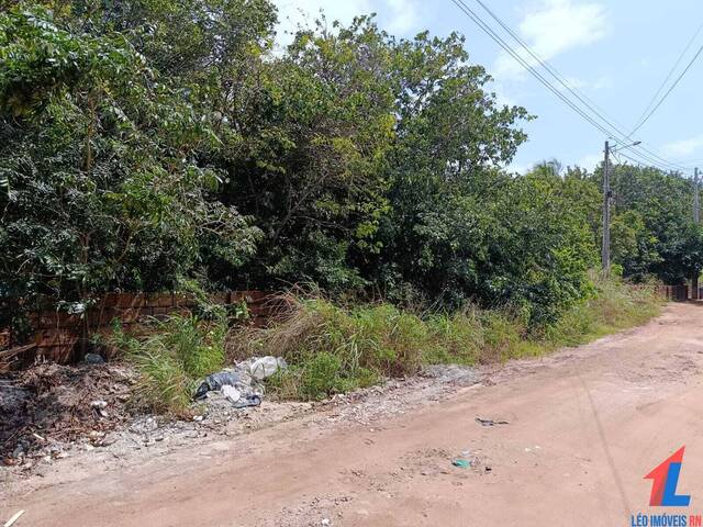 Terreno para Venda em Tibau do Sul - 4
