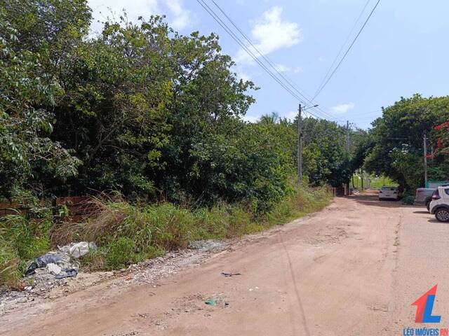 Terreno para Venda em Tibau do Sul - 5