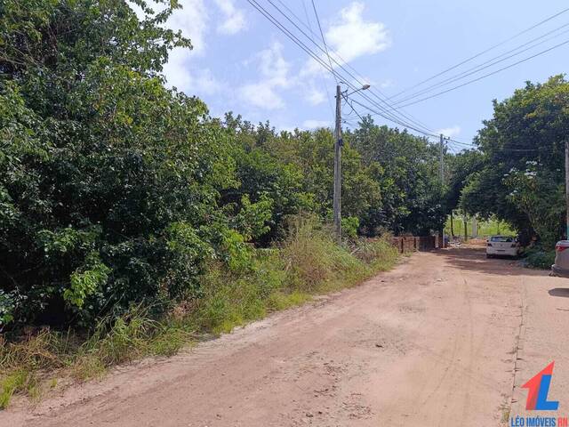 #T-273 - Terreno para Venda em Tibau do Sul - RN