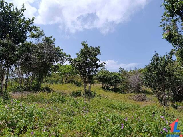 Terreno para Venda em Tibau do Sul - 4
