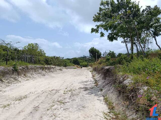 #T-529 - Terreno para Venda em Tibau do Sul - RN