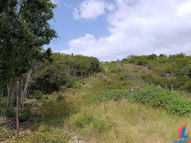 Terreno para Venda em Tibau do Sul - 5