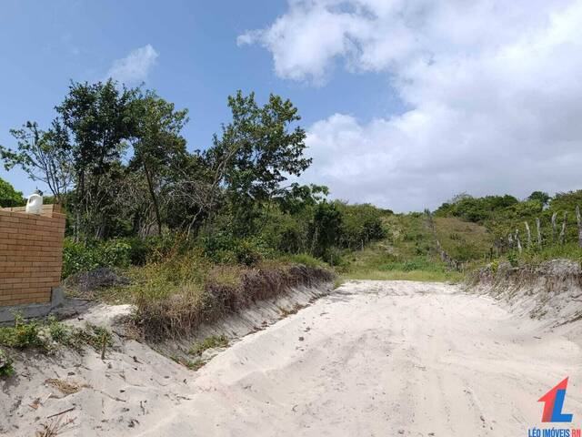 #T-529 - Terreno para Venda em Tibau do Sul - RN