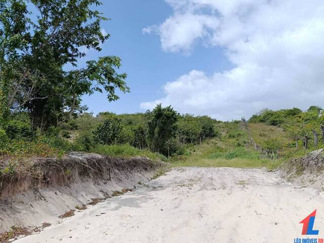 Venda em Praia da Pipa - Tibau do Sul