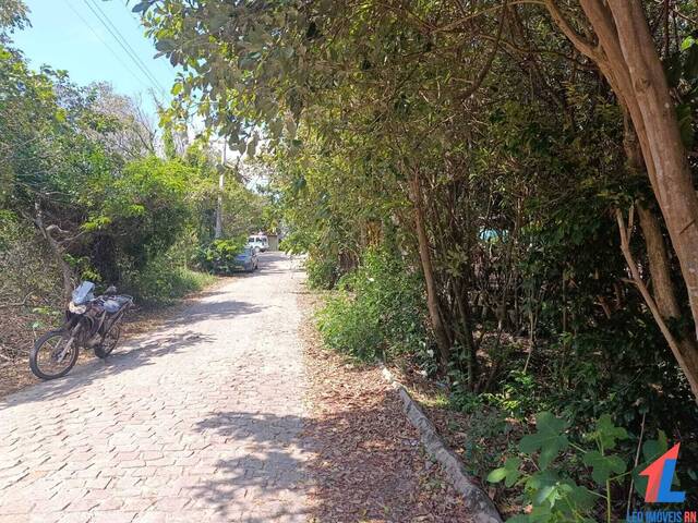 Terreno para Locação em Tibau do Sul - 4