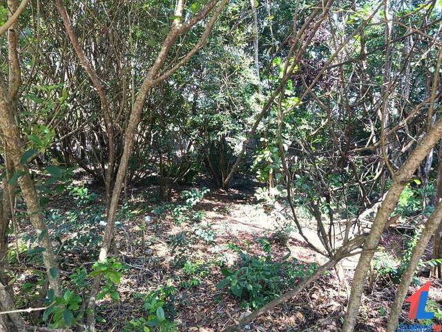 Terreno para Locação em Tibau do Sul - 5