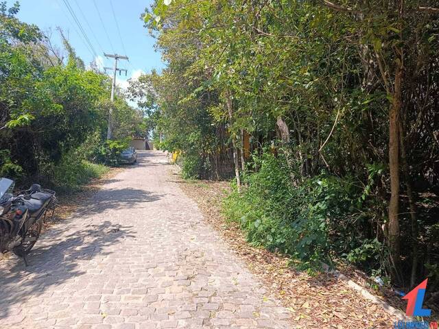 #LA-290 - Terreno para Locação em Tibau do Sul - RN