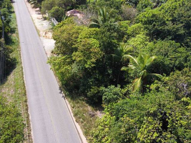 Venda em RN 003 - Tibau do Sul