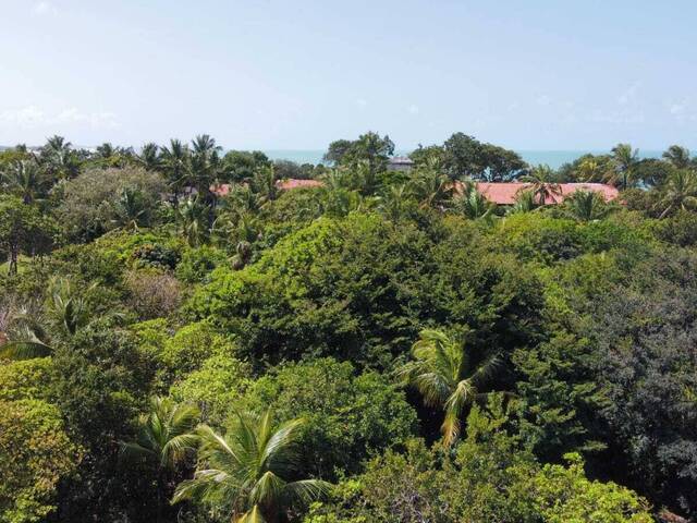Terreno para Venda em Tibau do Sul - 5