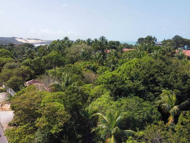 Terreno para Venda em Tibau do Sul - 4