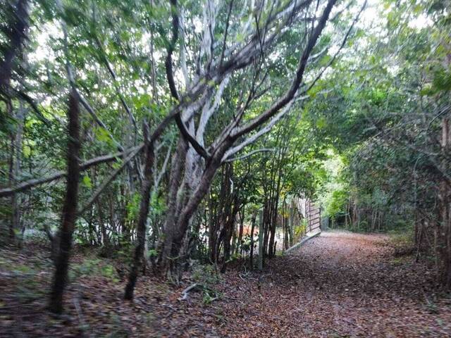 Terreno para Venda em Tibau do Sul - 5