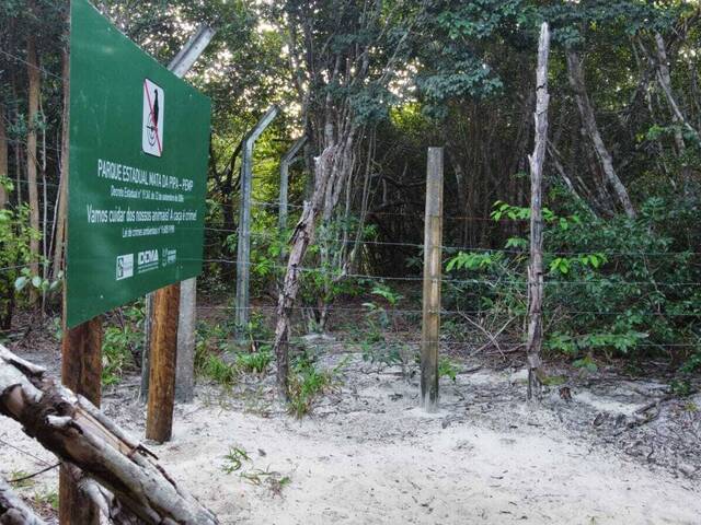 Terreno para Venda em Tibau do Sul - 4
