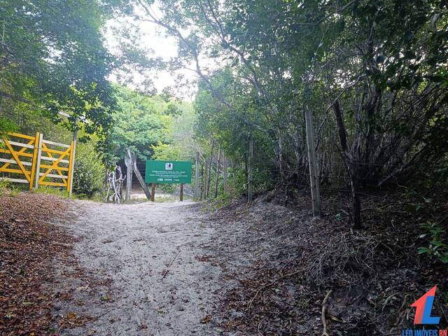 #T-532 - Terreno para Venda em Tibau do Sul - RN