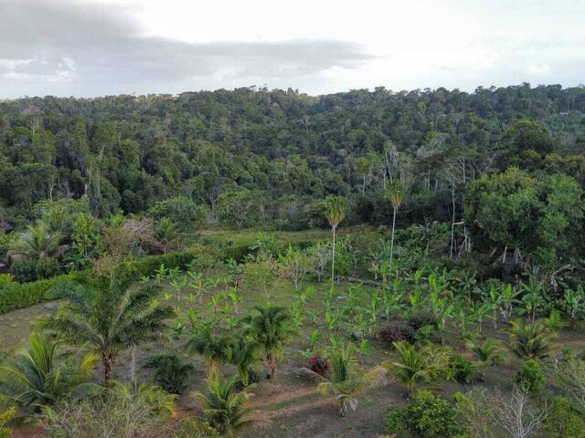 Venda em Itacaré - Itacaré