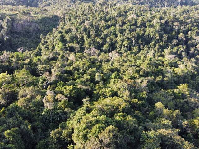 #T-540 - Terreno para Venda em Itacaré - BA