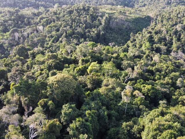 #T-540 - Terreno para Venda em Itacaré - BA