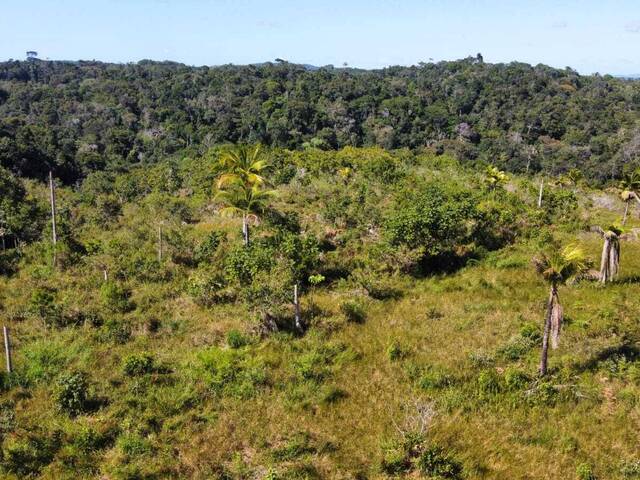 Terreno para Venda em Itacaré - 5