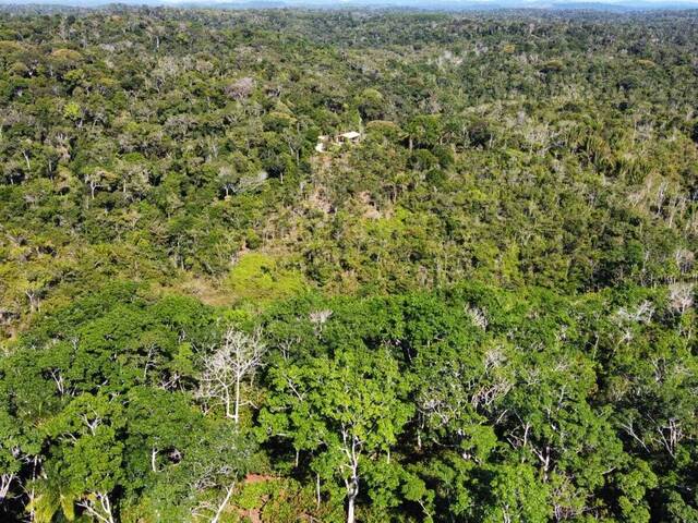 Terreno para Venda em Itacaré - 4