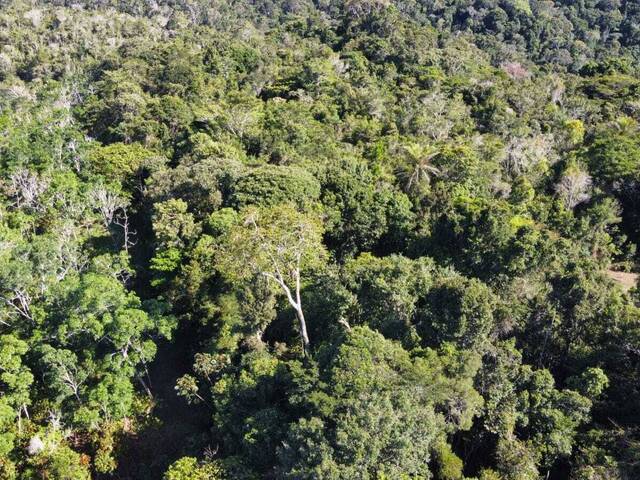 Terreno para Venda em Itacaré - 5
