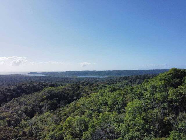 #T-537 - Terreno para Venda em Itacaré - BA