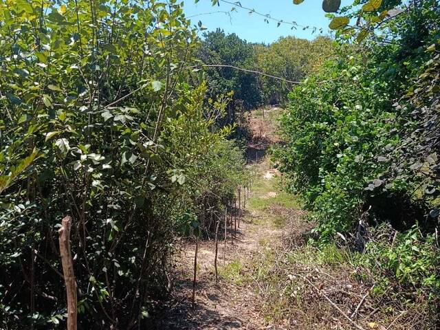 Terreno para Venda em Tibau do Sul - 4