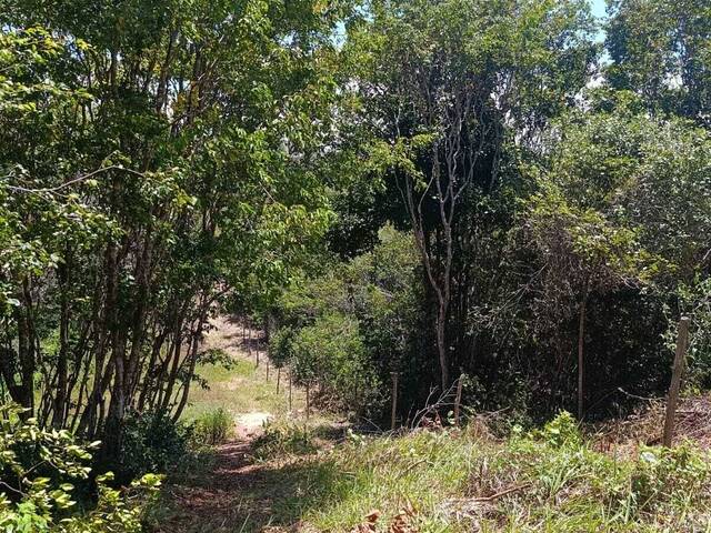 Terreno para Venda em Tibau do Sul - 5