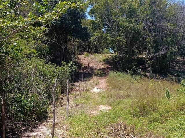 #T-463 - Terreno para Venda em Tibau do Sul - RN