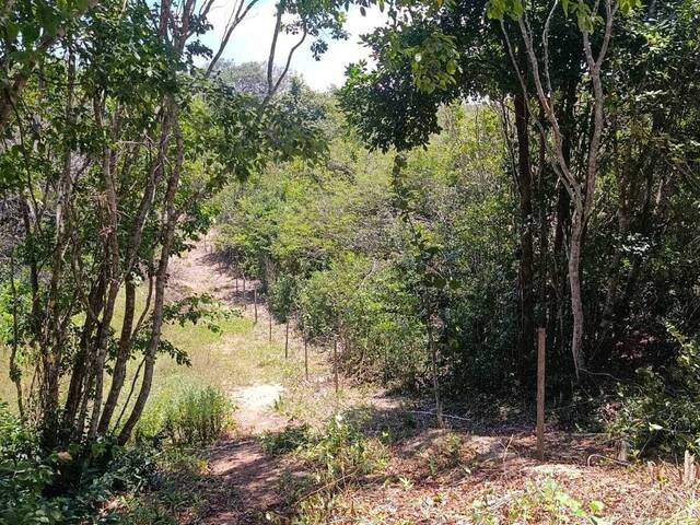 #T-463 - Terreno para Venda em Tibau do Sul - RN