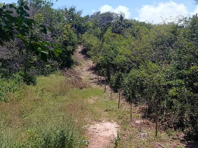 #T-463 - Terreno para Venda em Tibau do Sul - RN
