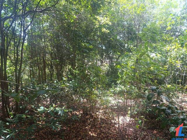 #T-522 - Terreno para Venda em Tibau do Sul - RN