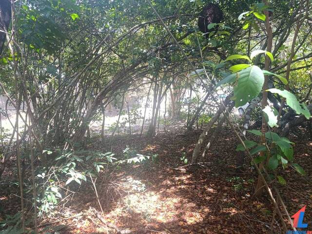 Terreno para Venda em Tibau do Sul - 4