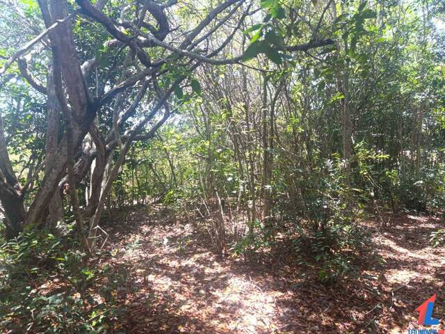 Terreno para Venda em Tibau do Sul - 5