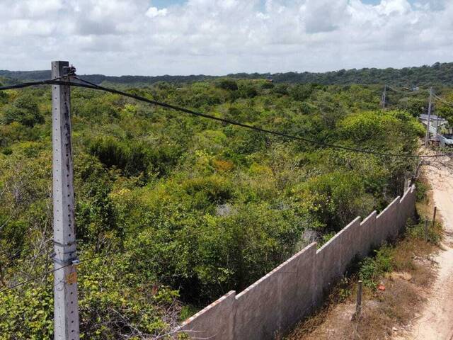 #T-521 - Terreno para Venda em Tibau do Sul - RN