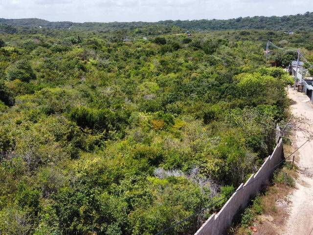 Venda em Praia da Pipa - Tibau do Sul