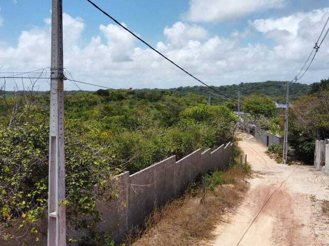 Terreno para Venda em Tibau do Sul - 4
