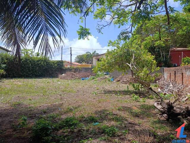 Terreno para Venda em Tibau do Sul - 4