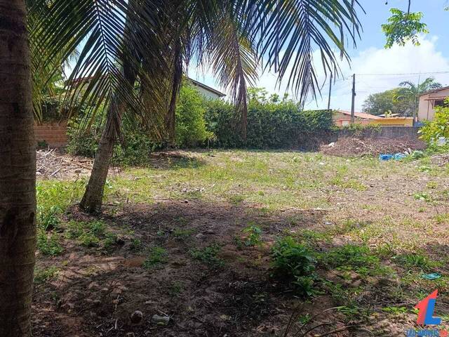 Terreno para Venda em Tibau do Sul - 5